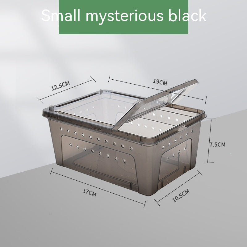 Silkworm Feeding Pet Box Turtle Jar - Image 8