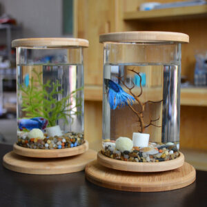Small Office Glass Aquarium Bamboo Base Mini Fish Tank Decoration Fishbowl