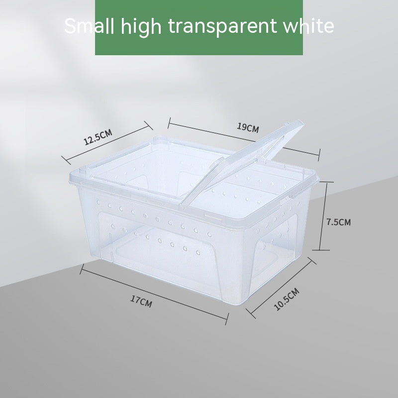 Silkworm Feeding Pet Box Turtle Jar - Image 11