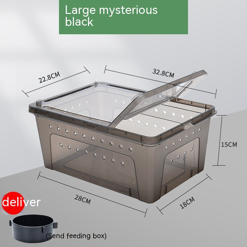 Silkworm Feeding Pet Box Turtle Jar - Image 6