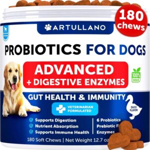 Probiotics For Dogs Support Gut Health Itchy Skin Allergies Immunity Yeast Balance Dog Probiotics And Digestive Enzymes With Probiotics Reduce Diarrhea Gas 180 Probiotic Chews For Dogs